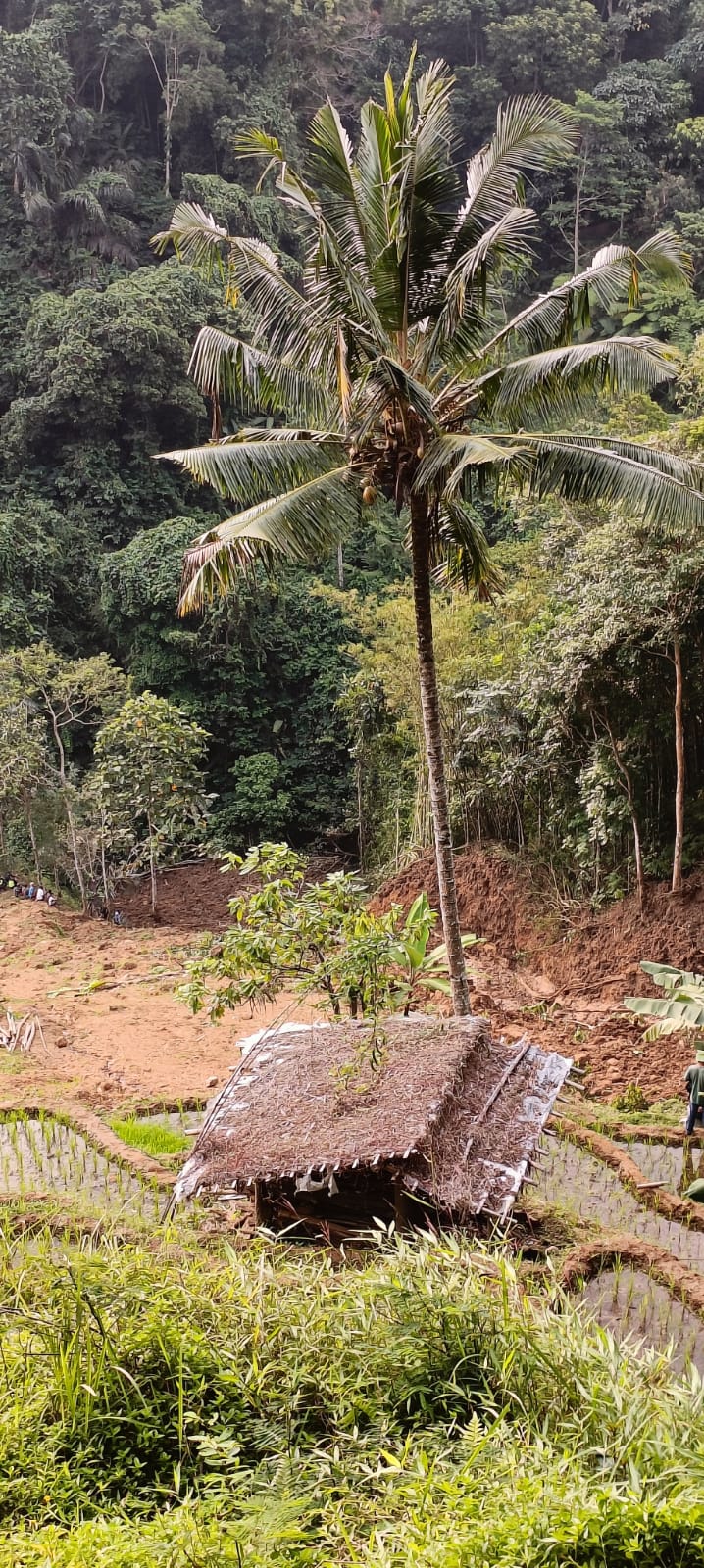 Longsor Terjang Cianjur, Satu Orang Tertimbun